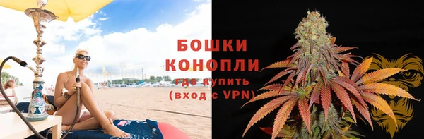прущие грибы Алзамай