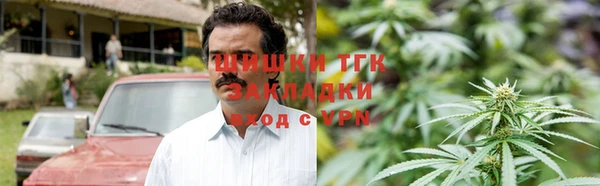 тгк Алексин