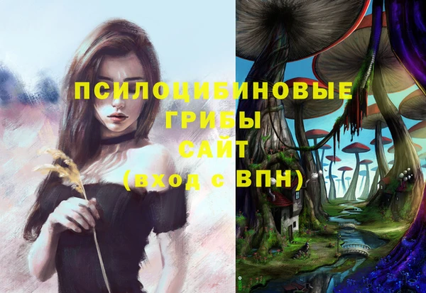 прущие грибы Алзамай