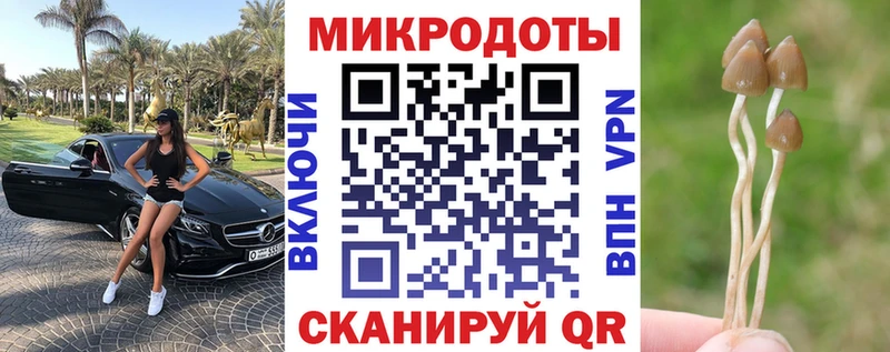 закладка  Межгорье  Галлюциногенные грибы Magic Shrooms 